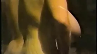 Dakota, la salope brûlante, fait videos sexy gratuit une pipe sensuelle en gorge profonde